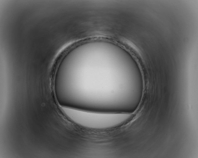 X0000088491310200705221014
