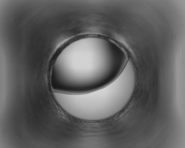X0000088491312200705221014