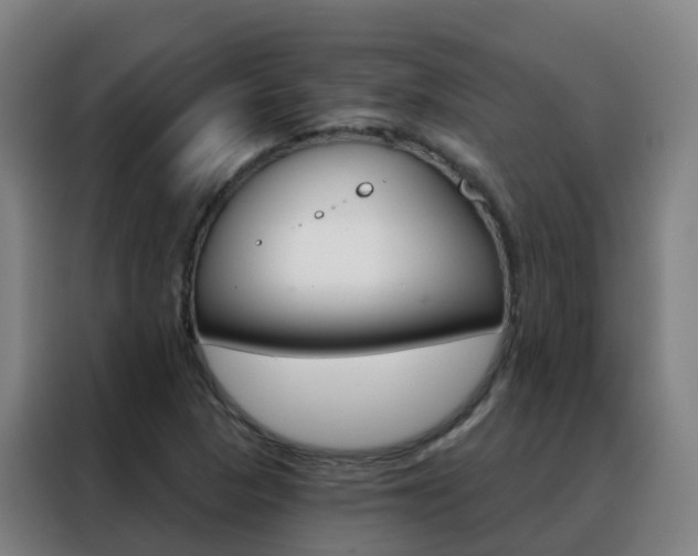 X0000088491313200705221014