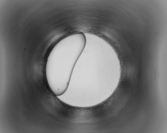 X0000088491314200705221014