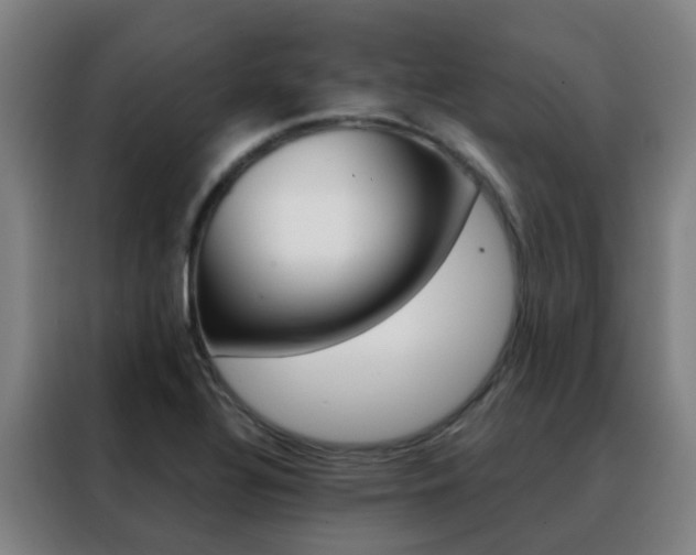 X0000088491320200705221014