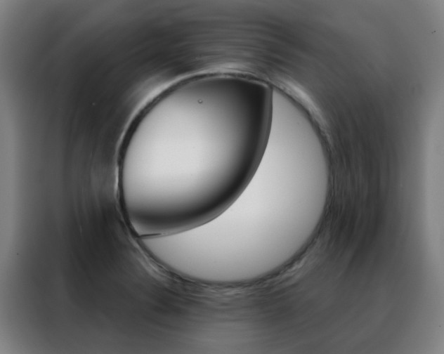 X0000088491324200705221014