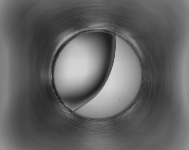 X0000088491328200705221014