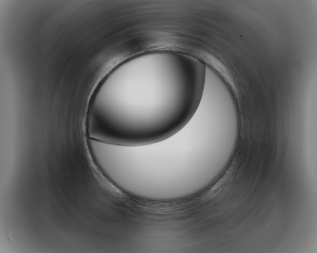 X0000088491330200705221014