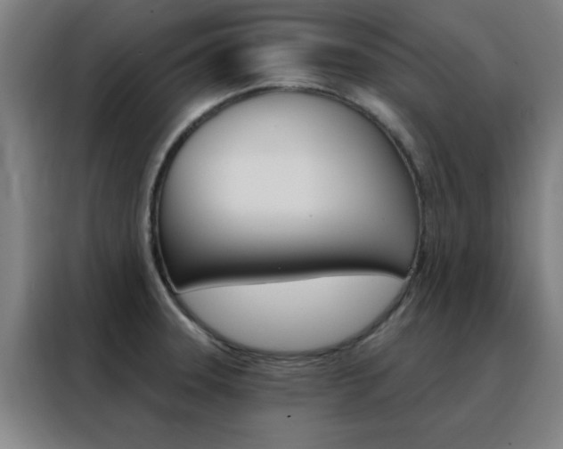 X0000088491331200705221014