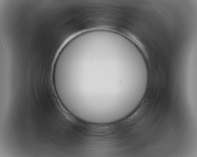 X0000088491332200705221014