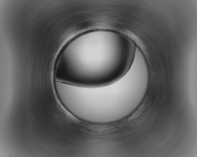 X0000088491334200705221014