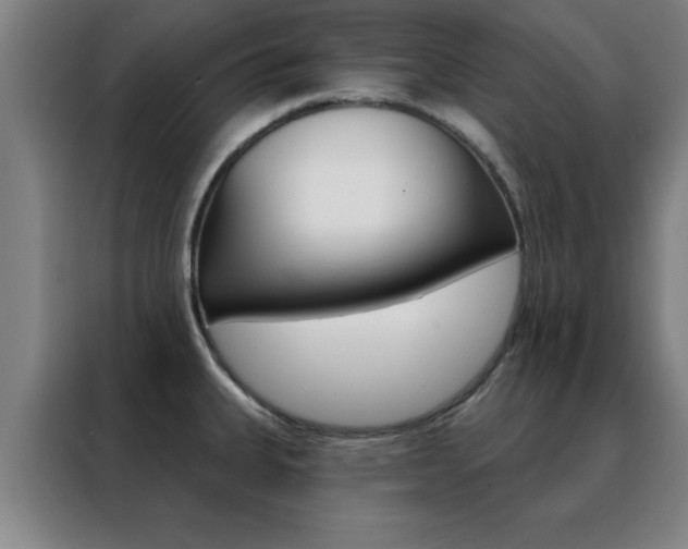 X0000088491335200705221014