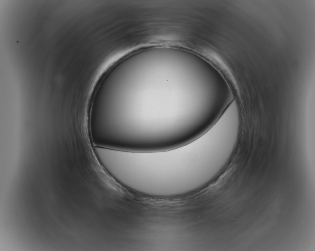 X0000088491336200705221014