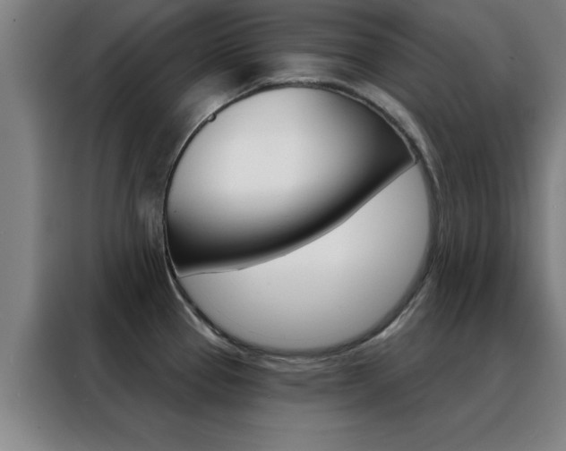 X0000088491337200705221014