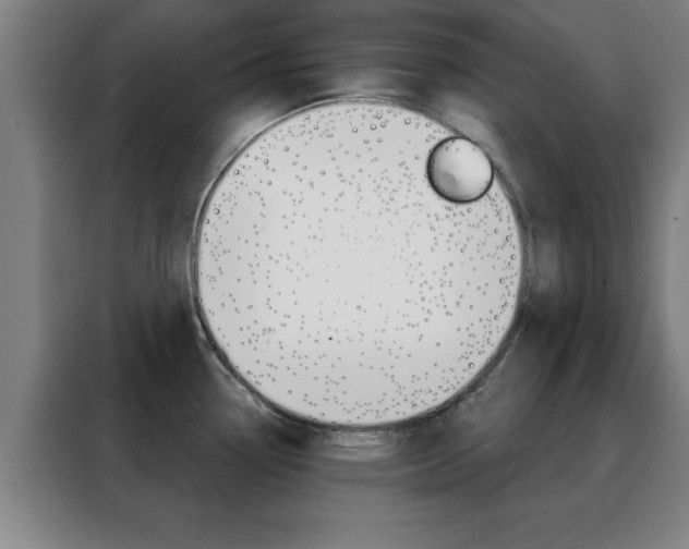 X0000088491338200705221014