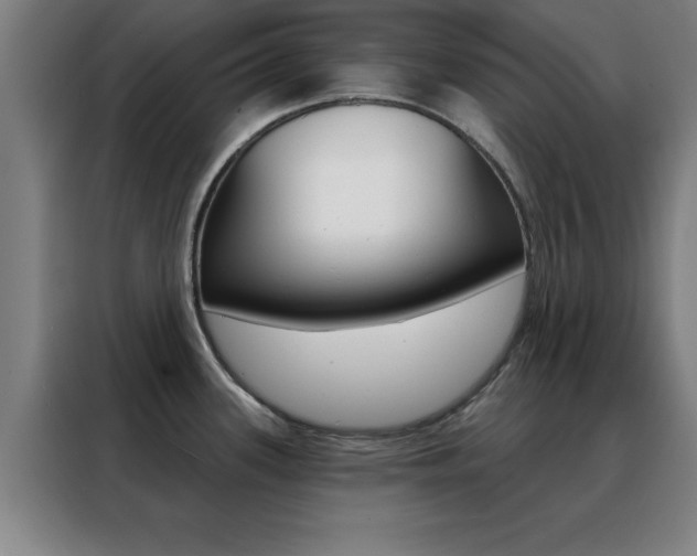 X0000088491339200705221014