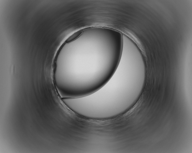 X0000088491340200705221014