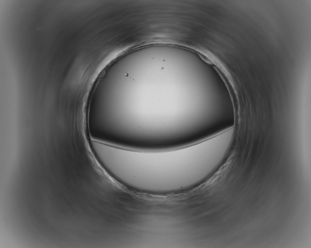 X0000088491341200705221014