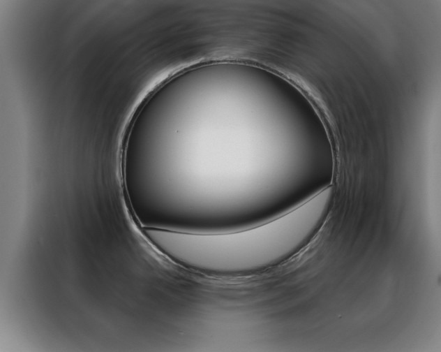 X0000088491342200705221014