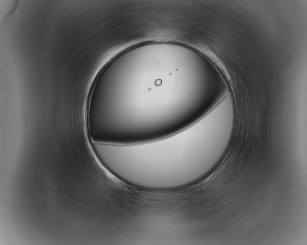 X0000088491343200705221014