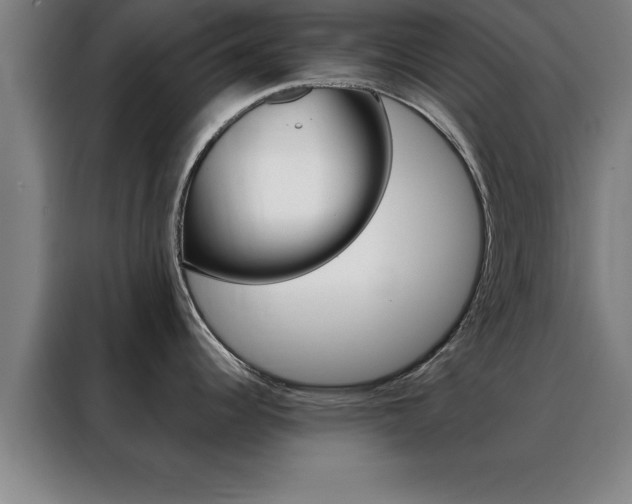 X0000088491344200705221014