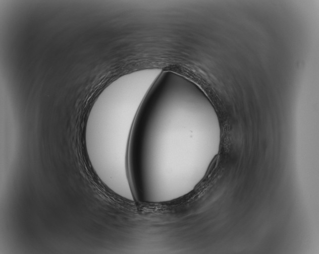 X0000088491345200705221013