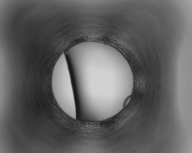 X0000088491346200705221013