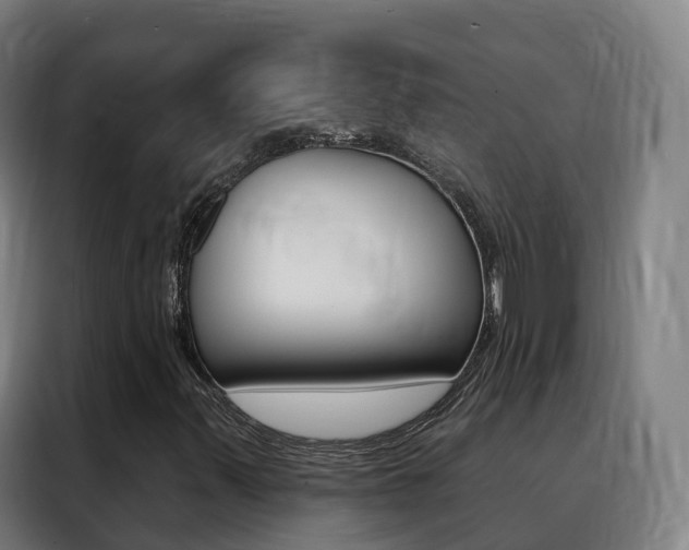 X0000088491347200705221013