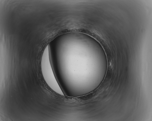 X0000088491348200705221013