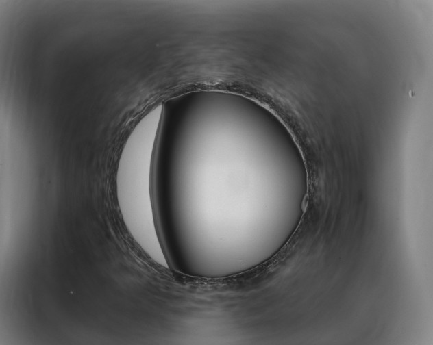 X0000088491349200705221013