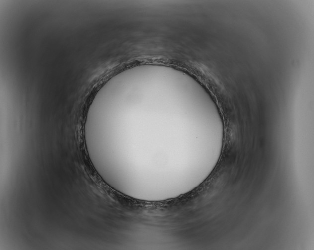 X0000088491350200705221013