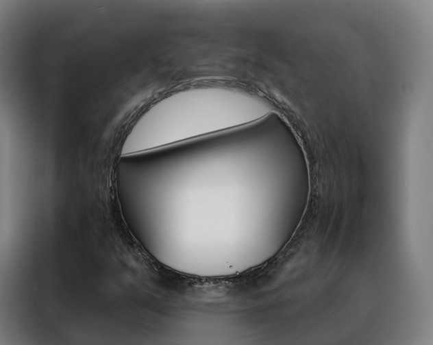 X0000088491351200705221013
