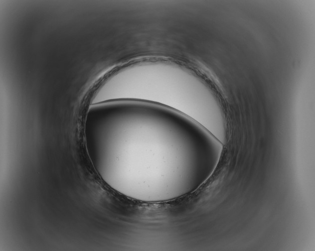 X0000088491352200705221013