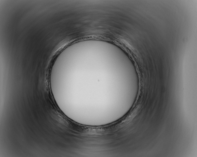 X0000088491354200705221013