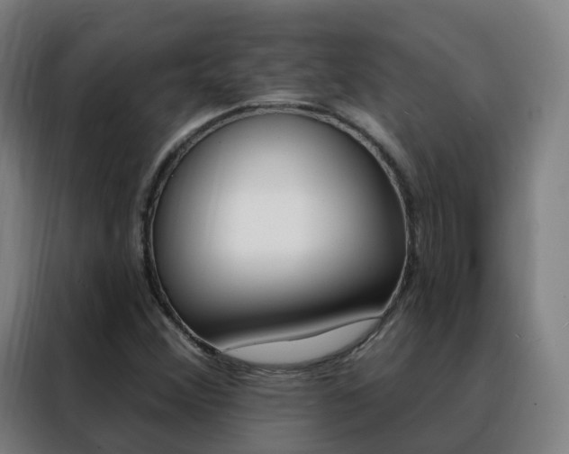 X0000088491356200705221013