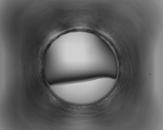 X0000088491359200705221013