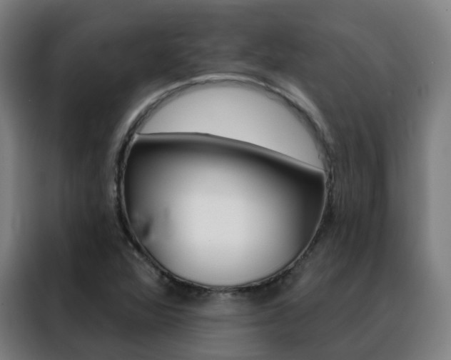 X0000088491360200705221013