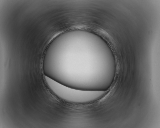 X0000088491361200705221013