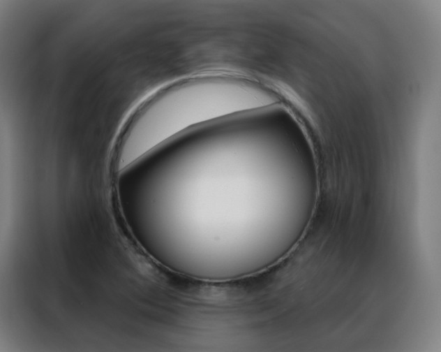 X0000088491364200705221013