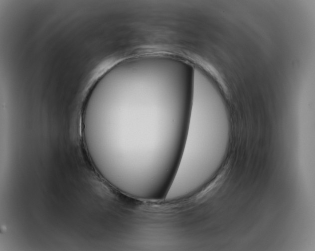 X0000088491365200705221013
