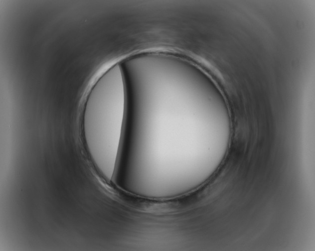 X0000088491367200705221013