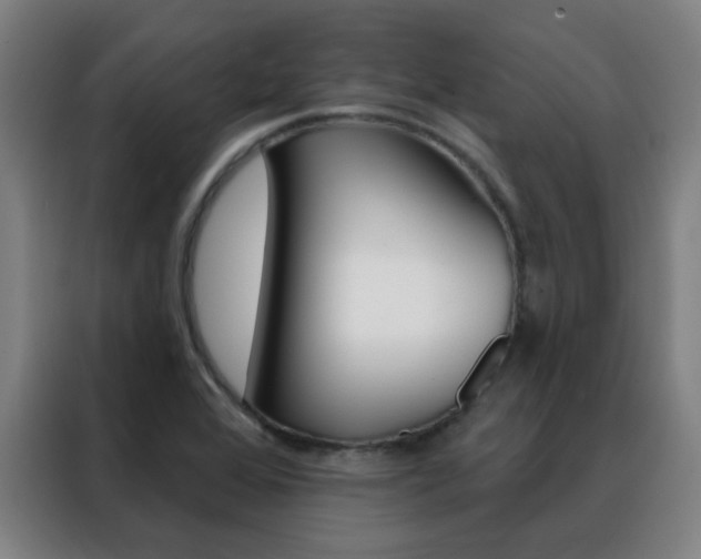 X0000088491368200705221013