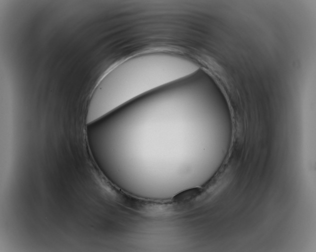 X0000088491369200705221013