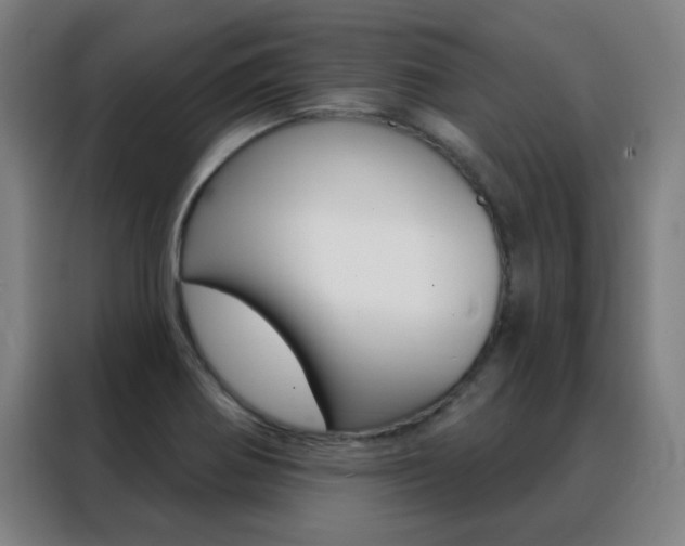 X0000088491370200705221013