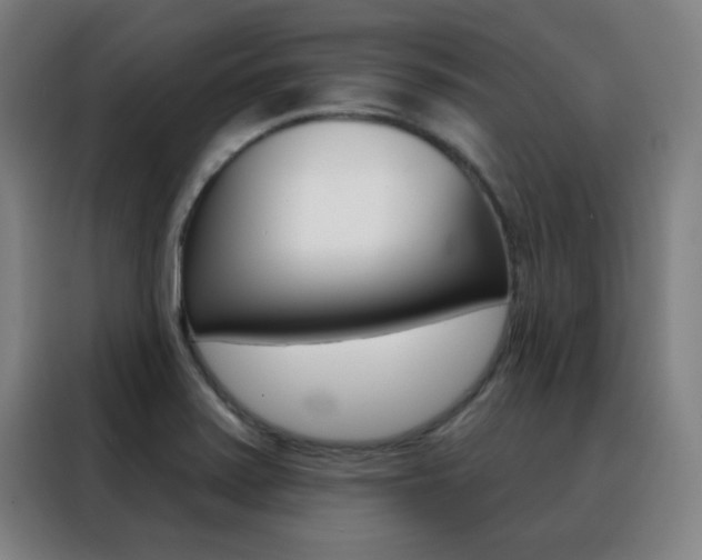 X0000088491371200705221013