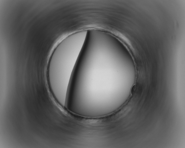 X0000088491373200705221013