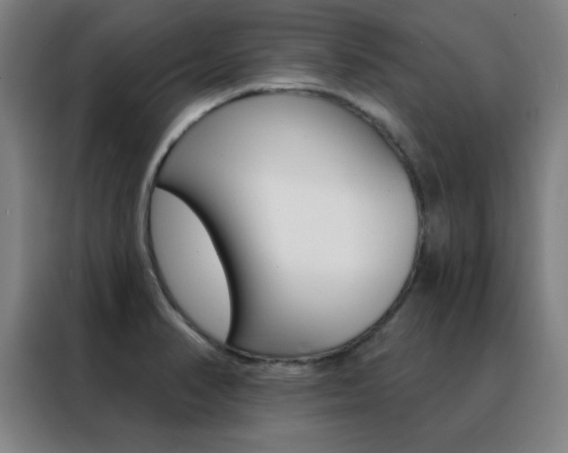 X0000088491374200705221013