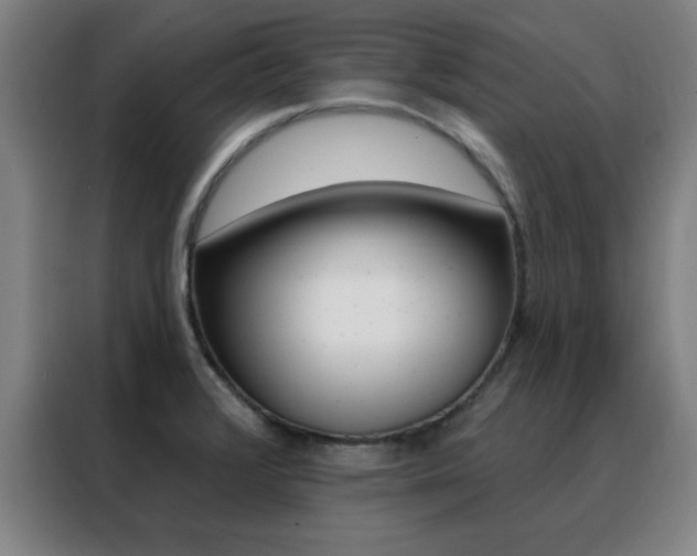 X0000088491376200705221013