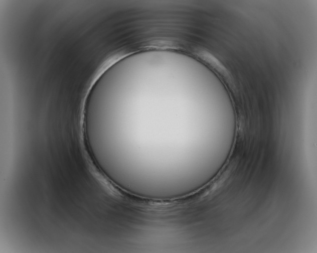 X0000088491378200705221013