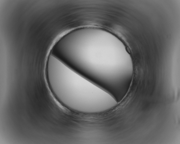 X0000088491379200705221013