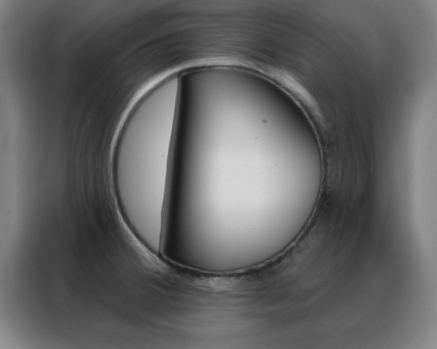 X0000088491380200705221013