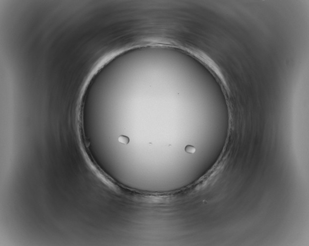 X0000088491381200705221013