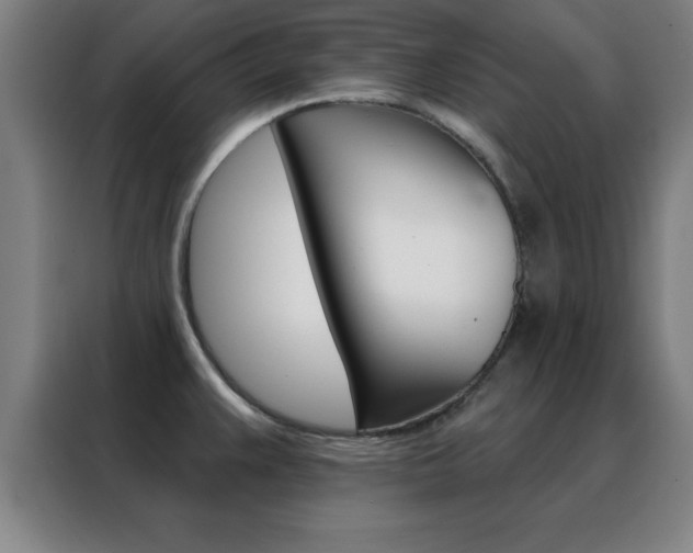 X0000088491383200705221013