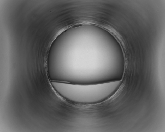 X0000088491385200705221013